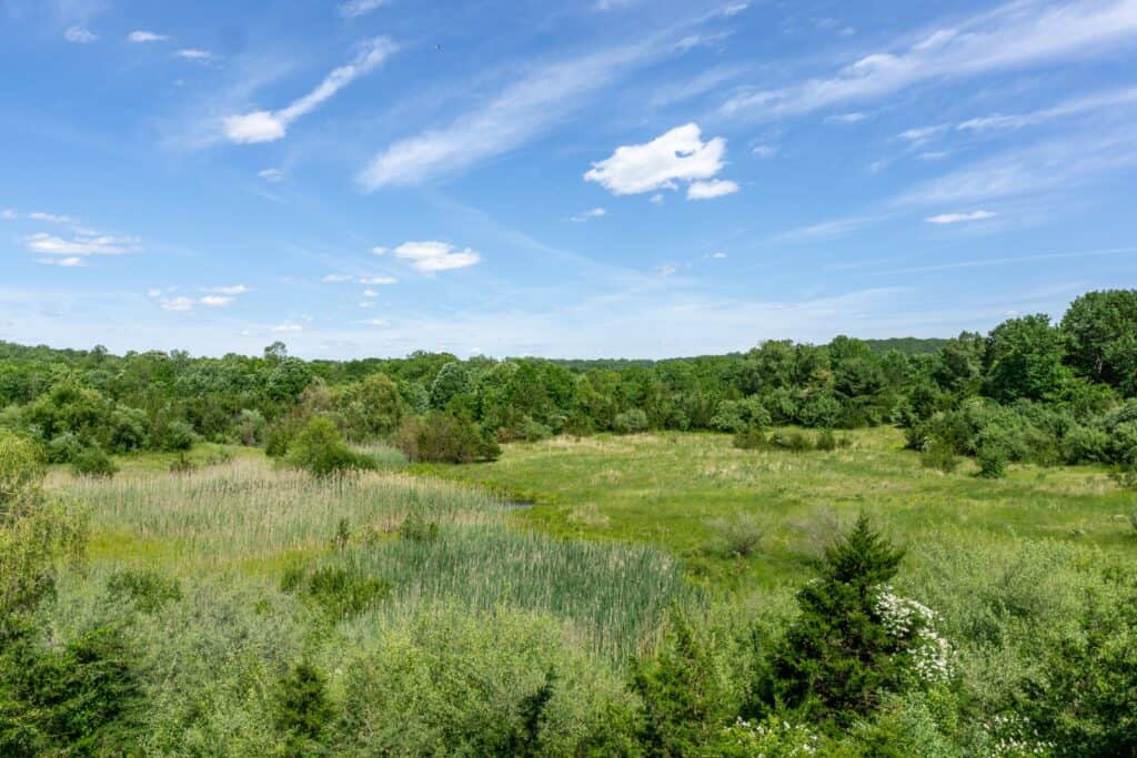 Mt. Paul Shale Valley