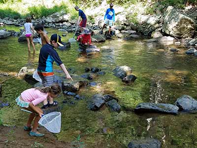 Kids with nets at stream