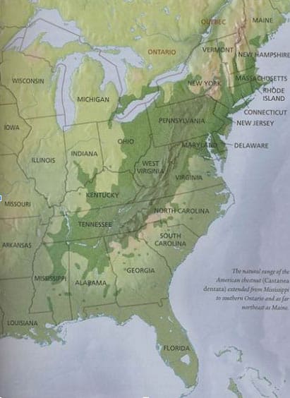 American Chestnut map