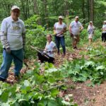 Business Volunteer Work Days
