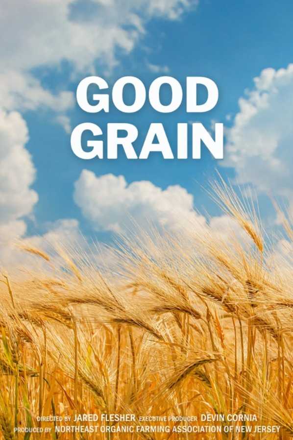 Good Grain movie poster