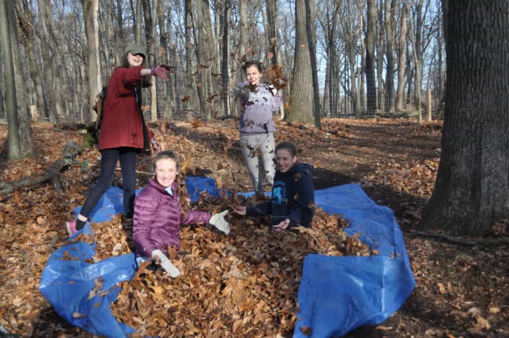 Girls scouts in leaves