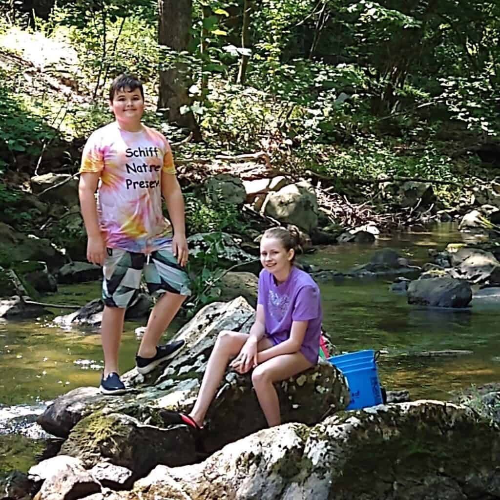 Summer Nature Program - at the creek