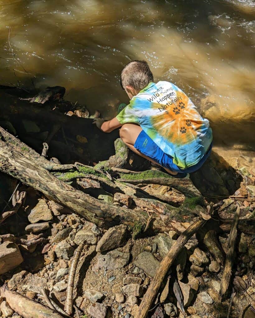 Boy playing in stream
