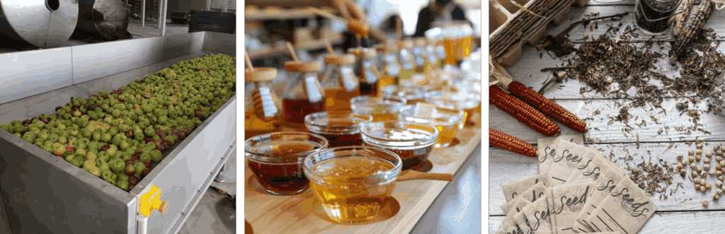 Photos of the cider mill